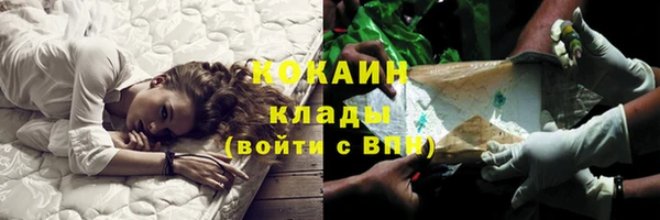 дживик Заводоуковск
