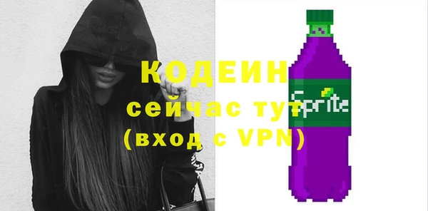 дживик Заводоуковск