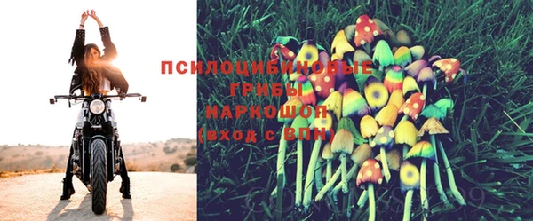 а пвп мука Заволжск