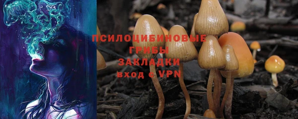 дживик Заводоуковск
