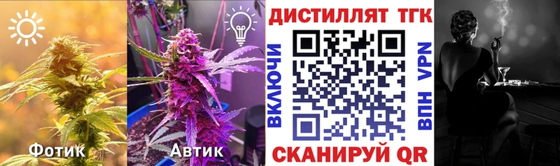 ТГК Wax  Купить где  Вяземский 